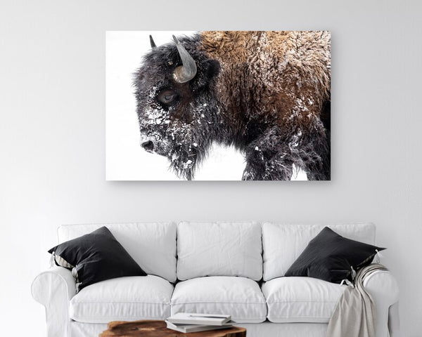 Buffalo wall art with snow on it, printed on premium canvas and ready to hang