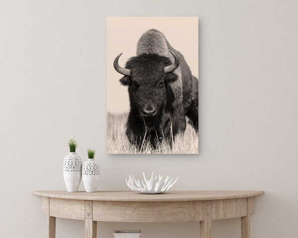 Bison wall art in earthy tones, printed on premium canvas and ready to hang