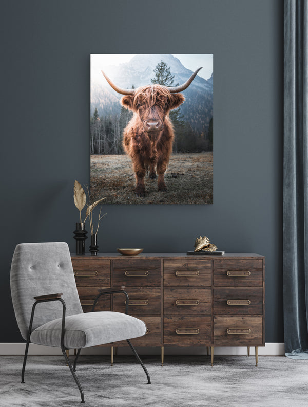 Highland Cow Canvas - Canvas Wall Art