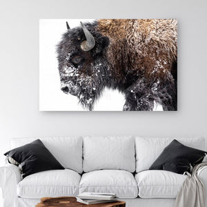 Buffalo wall art with snow on it, printed on premium canvas and ready to hang