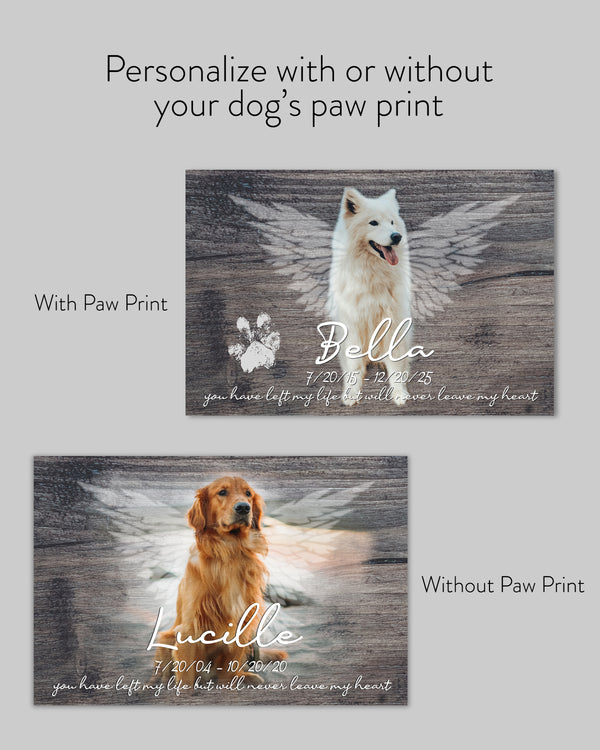 Dog Memorial Options
