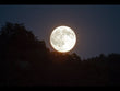 Large Moon Phases Canvas Art