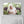 Baby's Heartbeat And Image Soundwave Canvas - Canvas Vows
